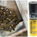 Mosquitall Aerosol aus Wespen und Wespennestern