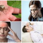 Allergisk at bide edderkoppebid